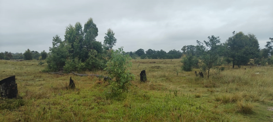 0 Bedroom Property for Sale in Greenbushes Eastern Cape